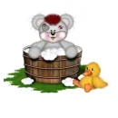creddy baby in a tub with a duck