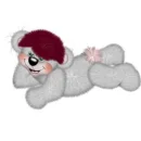 creddy boy bear