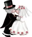 creddy bears married
