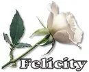 Felicity