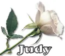 Judy 