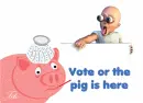 pig