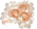 Peach Roses
