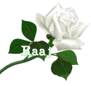 Raaj