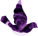 Purple Rose Bird