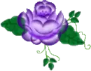 Lil Purple Flower