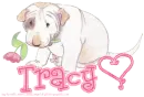 Tracy