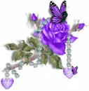 Blue Purple Flower