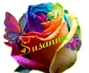Rainbow Rose Susanna