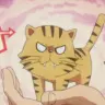 ToraDora Palm Top Tiger!!
