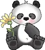 cute panda with flower