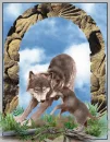 My magic wolfs
