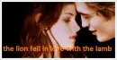 bella and edward 