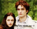 true love never dies <3 