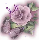 Judi Butterfly Rose