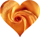 Orange Heart Rose