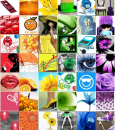 collage