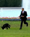 Obama and Bo