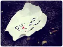 llove