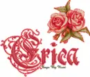 Erica