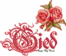 Gied