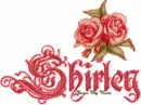 Shirley