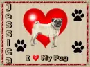 I luv my pug Jessica