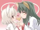 CaT t0 cat