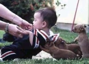 Puppies help