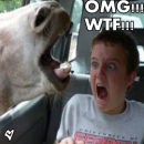 OMG WTF
