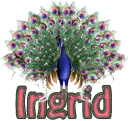 Ingrid