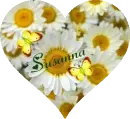 Susanna Daisy Heart