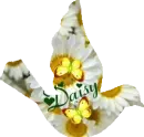 Daisy Flower Bird