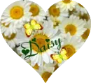Daisy Flower Heart