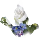 Sabrina Flower Bird
