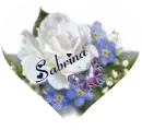 Sabrina Flower Heart