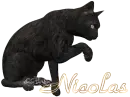 Nicolas