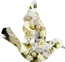 Wedding Bird