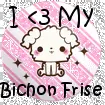 I â™¥ My Bichon Frise 