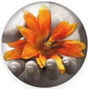 Flower Button