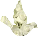 White Rose Bird