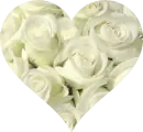 White Rose Heart