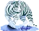 White tiger - Amber - fg