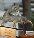 SQUIRLE