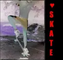 skate