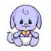 baby kacheek