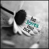 he loves me-not