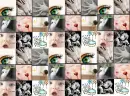 Its a boy icons