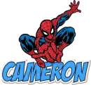 Cameron Spiderman