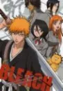 Bleach